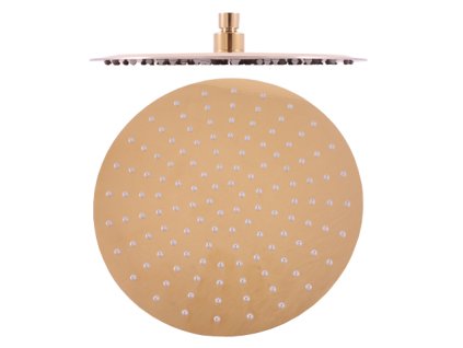 1657 1 hlavova sprcha zlata leskla ks0001z rav slezak